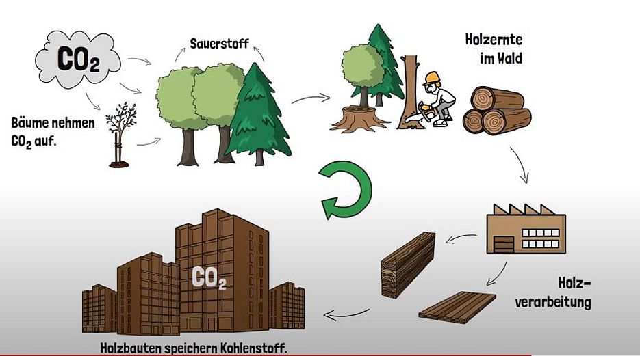 Holzbauten als zweiter Wald
